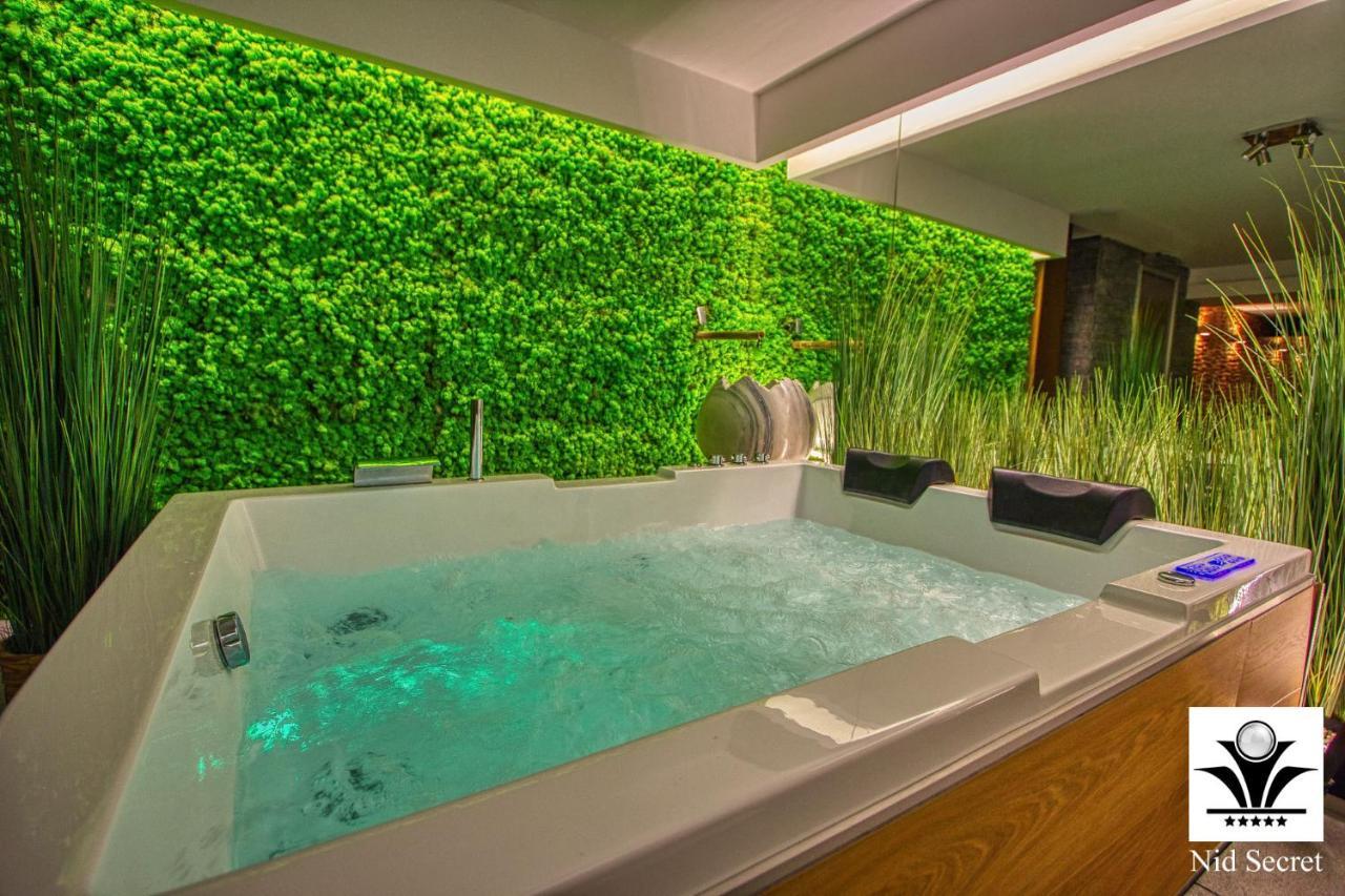 Panoramique 180 Lac Et Montagne Et Nid Secret Spa Romantique Annecy Exterior foto